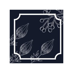frame with plants and herbs isolated icon
