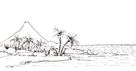 Tropical coastline with palms and rocks against the backdrop of a high volcano near the ocean. Hand-drawn linear sketch with ink.