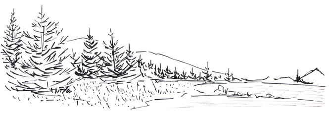 Landscape with a mountain chain and forest. In the foreground there are three tall firs. Hand-drawn linear illustration on paper. Sketch with ink on a white background.