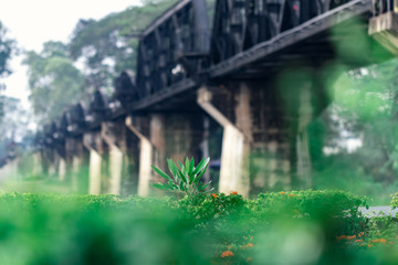 Fototapeta premium beautiful greenery field at railway bridge, shallow depth of field