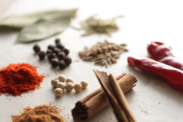 白い背景で撮影したいろいろなスパイスといろいろなスパイス香辛料