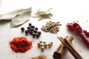 白い背景で撮影したいろいろなスパイスといろいろなスパイス香辛料