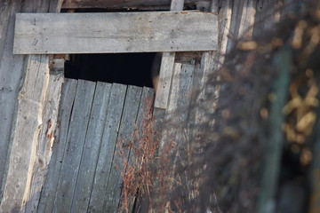 The roof of an old abandoned house in the village in winter. Snowy and Sunny day. Empty house, without people, dilapidated, broken and destroyed. Wooden building of the last century