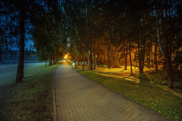 Obraz premium Trail near the Nemunas