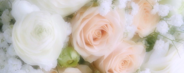 Banner Flowers close up background blur effect pastel color. Flowers texture