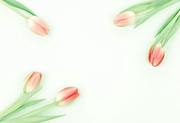 Flowers background. Pink tulips on white background top view, copy space.