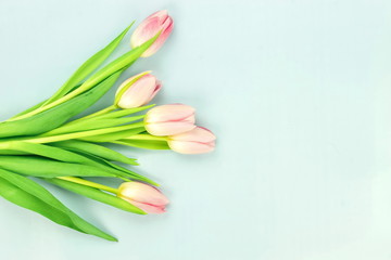 Flowers composition background. bouquet of pink tulips on a pale green background. top view. copy space. Holiday concept. Pastel colors background