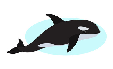 Orca icon, whale killer, isolated on white background
