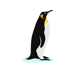 King penguin icon, isolated on white background