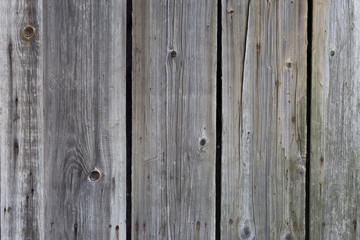 Obraz premium Gray old weathered wooden boards for background and design.
