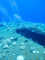 Obraz premium Wreck of passenger ship Salem Express at the bottom of Red Sea in Egypt.