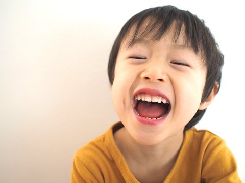 902 Best 爆笑 Images Stock Photos Vectors Adobe Stock 902 Best 爆笑 Images Stock Photos Vectors Adobe Stock