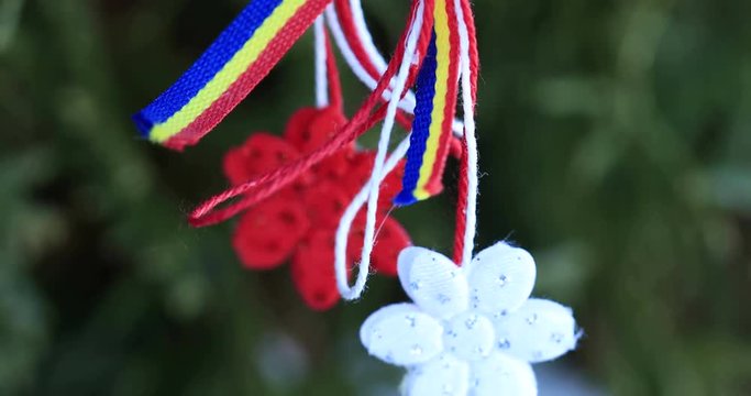 Natural snowdrops and red and white string martisor on green background. Martisor is a red and white string and which is offered by people on March 1 as love talisman. Moldavian and Romanian symbol