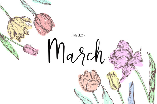 Inscription Hello March on background with hand drawn flowers. Vector illustration.