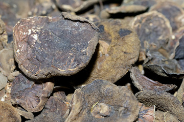 Dried mushrooms. Dry wild mushrooms as a background