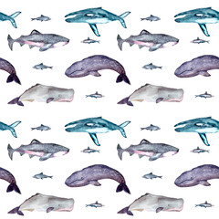 Seamless pattern with gray whales, shark tiger,blue whales, sperm whales. Can be used for wallpaper, web page background, surface textures.