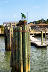 Wooden poles in Atlantic ocean. Bundle of wooden poles.Buffering.Pilings. Dock pier.