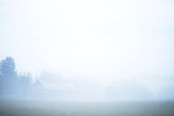 Fototapeta premium Fog in the field. Evening nature summer with white fog.