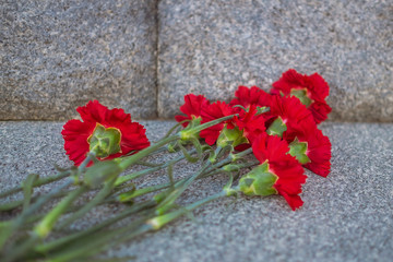 Red carnations on a stone monument 1