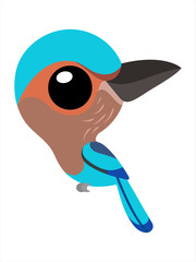 Bird cartoon, Big eyes cute bird, Indian roller.
