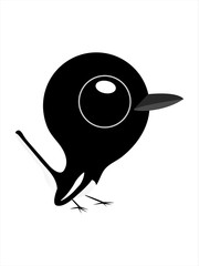 Bird cartoon, Big eyes cute bird, Oriental magpie robin.
