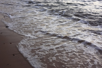 Foamy edge of sea water on the evening sandy beach.