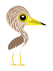 Bird cartoon, Big eyes cute bird, Pond Heron.