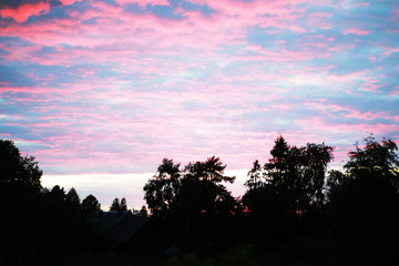 Spring sunset over the forest. Pink and blue clouds in the sunset.