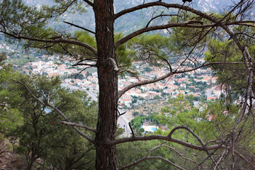 A view of the resort town through a pine tree from the slope of the mountain. Turkey.