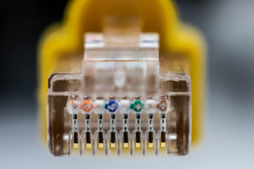 Close-up image of cables rj45, utp, ethernet. Cables with yellow thread or yellow hood.  Concept about internet, networks, global connection, ...