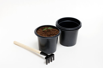 Young green plant grows in a pot for seedlings, tools of agriculture isolated on white background