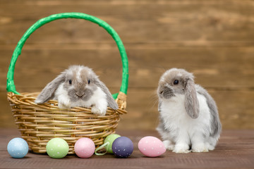 Rabbits with Easter eggs on wooden background