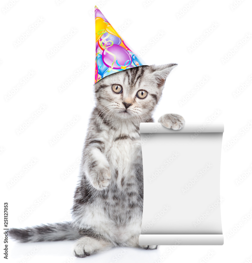 Poster cat in birthday hat holding empty list. isolated on white background