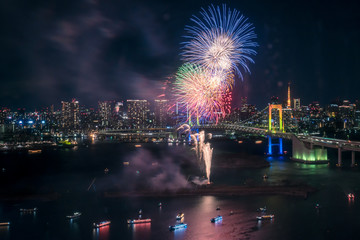 東京お台場　都市の夜景と花火 22
