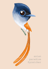 Bird cartoon, Asian Paradise Flycatcher paintting.