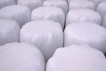Hay packed in polyethylene PVC packaging lies on the field on green grass on a sunny summer day.