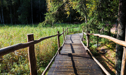 wooden bridge in forest