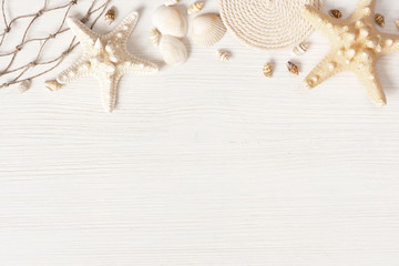 White textured wooden surface decorated with sea shells - 251130055
