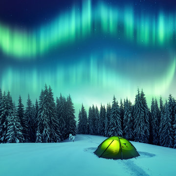 Aurora borealis. Northern lights in winter forest. Sky with polar lights and stars. Night winter landscape with aurora, green tent and pine tree forest. Travel concept