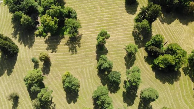 Flight over Alexandria Park in Belaya Tserkov near Kiev, Ukraine. 4K