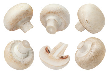 Big set of fresh champignon mushrooms, isolated on white background