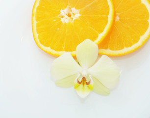 Smell of tropical fruit orange and flower isolated