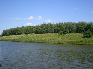 blue pond and green forest in the distance. Clear blue sky. Sunny warm summer day. landscape of Ukraine