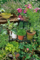 Plantes aromtiques et Légumes sur un balcon