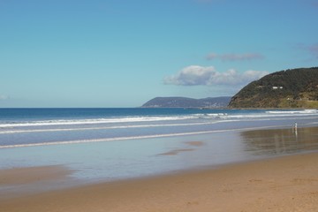 Fototapeta na wymiar Empty beach in Australia somewhere between Melbourne and Sydney