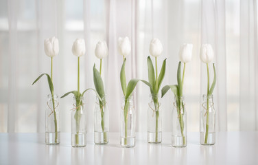White tulips in bottles with Easter decoration in the form of eggs on a white table.