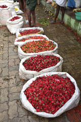 Sacs de fleurs au marché de Madurai, Inde du Sud