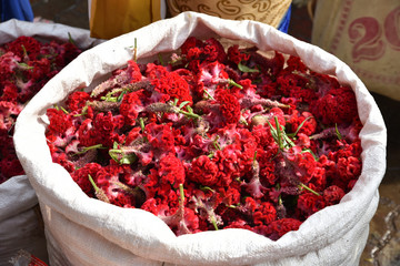 Fleurs rouges en vrac à Madurai, Inde du Sud
