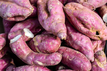 pile of purple sweet potatoes