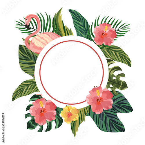 "beautiful tropical flowers cartoon" Imágenes de archivo y vectores